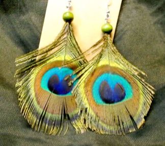Small Peacock Feathers (Trimmed)