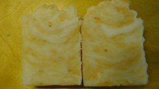 NEW - Orange Dreamcicle